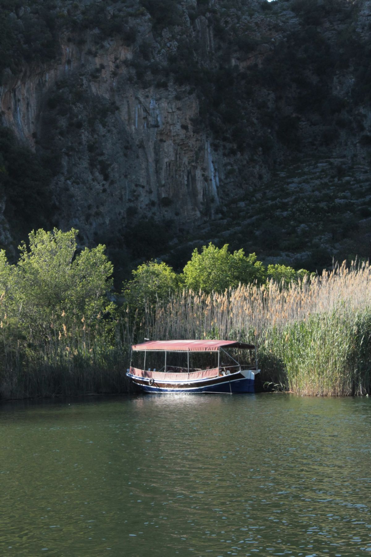 Wooden river boat moving through a narrow channel between tall green reeds on the Dalyan delta